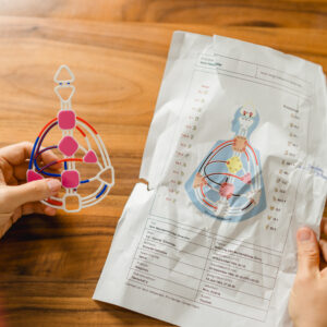 Human Design 3D Bodygraph Einleger - Always with You